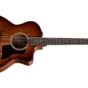 Taylor 224ce-K DLX Acoustic Electric Guitar With HSC