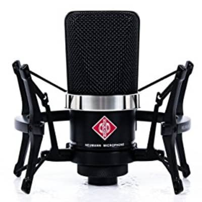 Neumann TLM-102 Large-Diaphragm Studio Condenser Microphone (Studio Set, Black) image 1