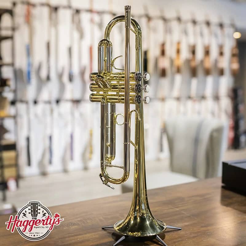 B&S BS210 Prodige Student Trumpet, Reverse Leadpipe | Reverb