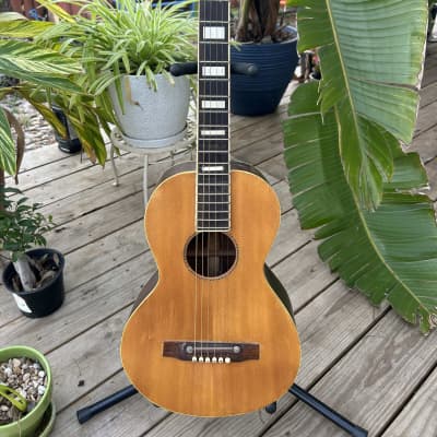 Unknown Parlor Guitar Brazillian Rosewood 1920s for sale