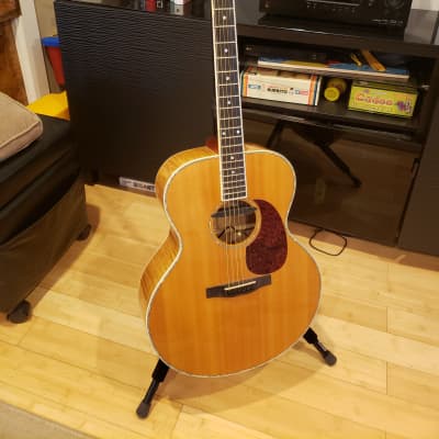 Triggs Acoustic 2014 with Three Pickups Installed image 4