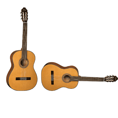 New - Washburn Natural Classical acoustic guitar C40 for sale
