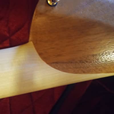Falbo Custom Made 8 String Headless Guitar image 8