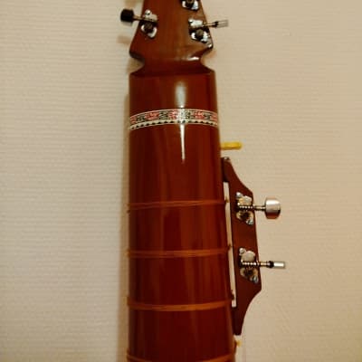 Sitar Sitar de style Gayaki 2020 - Fabriqué avec du bois de Tun soigneusement séché Cordes en acier, bronze et laiton Ponts en os de chameau image 5