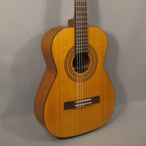 Rare 1968 Supro Classical Acoustic Guitar with Case image 1