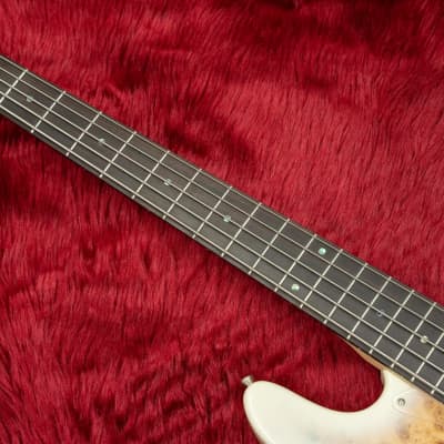Bacchus WJB5-BP/Act BD-B [Hyogo store] | Reverb