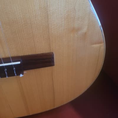 Hofner Carmencita T-3 Classical Guitar-Made in Spain 1960s image 7