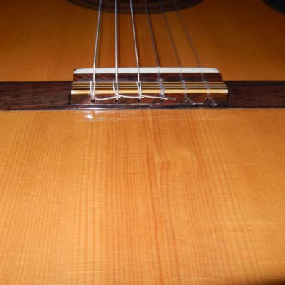 TAKAMINE'S ALL TIME BEST - No15 1980 - BOUCHET/TORRES/HAUSER/FURUI STYLE - CLASSICAL GRAND CONCERT GUITAR - SPRUCE/BRAZILIAN ROSEWOOD image 8