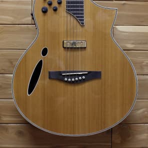 Ibanez montage acoustic electric guitar outlet