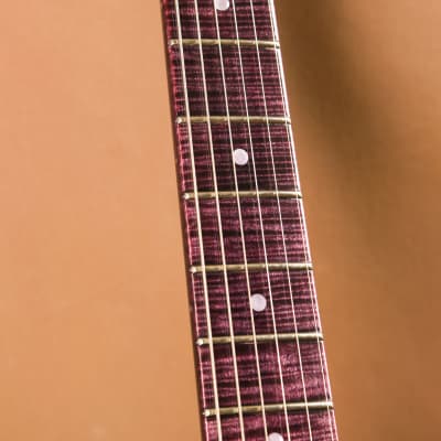 Fender Masterbuilt "Purple Reign" Stratocaster Yuriy Shishkov image 11
