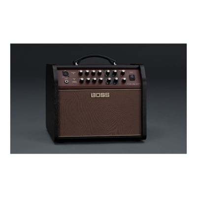 BOSS Acoustic Singer Live LT 60-Watt Bi-Amp Design Acoustic Guitar Amplifier with Analog Input Electronics and 3-Band EQ image 6