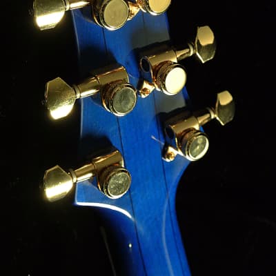 Raines LA6 or LA7 2019 6 or 7 String Electric Jazz Guitar Semi Hollowbody  TRADES! image 15