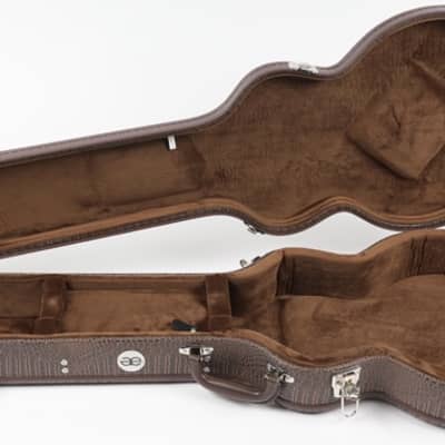 Allen Eden Brown Arch Top Les Paul Alligator Skin Hardshell Guitar Case image 2