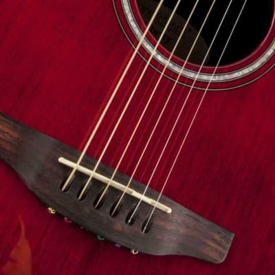 Ovation CS24-RR Celebrity Mid-Depth Solid Spruce Top 6-String Acoustic-Electric Guitar w/Gig Bag image 5