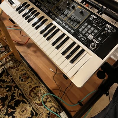 Amazon.co.jp: Roland Gaia sh-01 | 37キーtriple-stacked