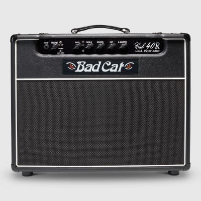 Bad Cat Cub Handwired Series 30-Watt 1x12