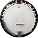 Washburn Model B9 5-String Closed-back Mahogany Bluegrass Banjo
