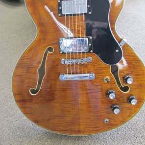 Blue Frog Made in the USA  335 Style Flametop 2014 Vintage Amber image 14