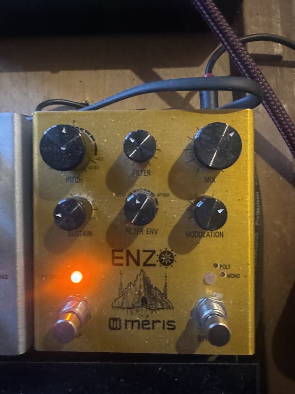 Meris Enzo