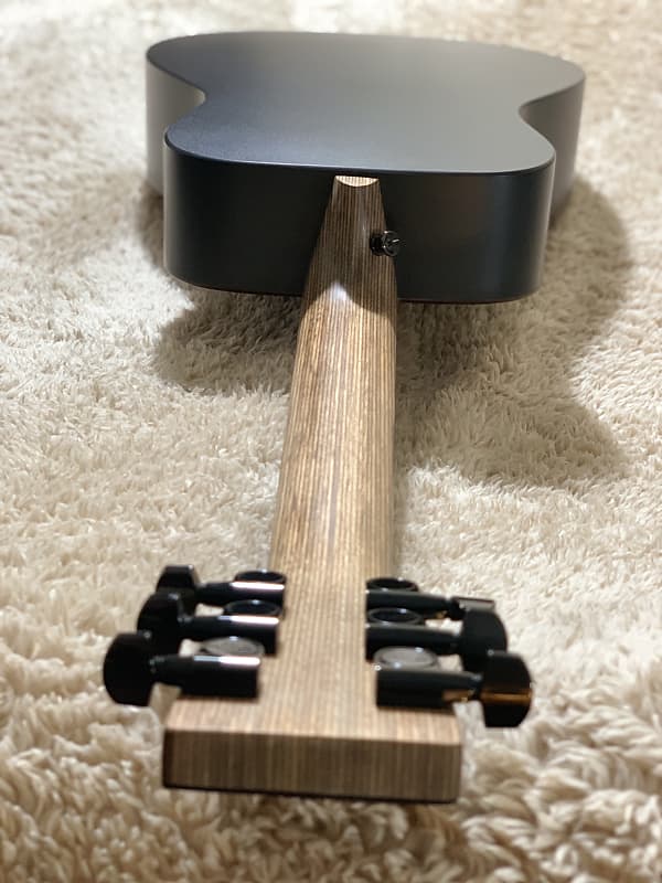 【廃盤レアギター】エドシーラン版 LX1E signature 調整済み エドシーラン LX1E signature 調整済み - メルカリ