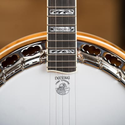Deering Tony Trischka Silver Clipper Resonator Banjo w/Spikes Installed at 7, 8, 9, and 10 #0100 image 6