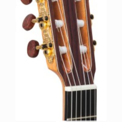 Kremona  F65CW-SB | All-Solid German Spruce / Indian Rosewood Classical Guitar. New with Full Warranty! image 7