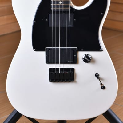 Fender Telecaster Jim Root Artist Series Made in Mexico Flat White 