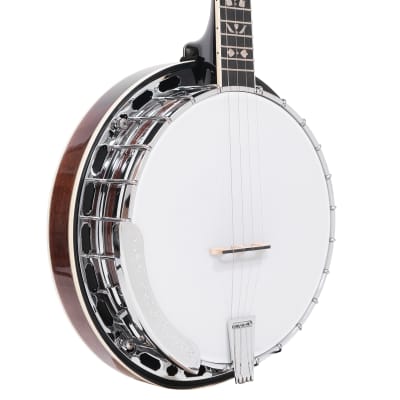 Gold Tone PS-250/L Plectrum Special Bell Brass Tone Ring 4-String Banjo w/Hard Case For Lefty Player image 3