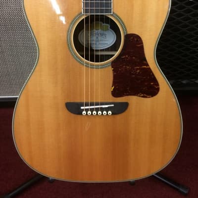 Washburn WSD5240 Warren Haynes Signature Model Acoustic Guitar w/Hard Case - Natural Gloss [ProfRev] image 3