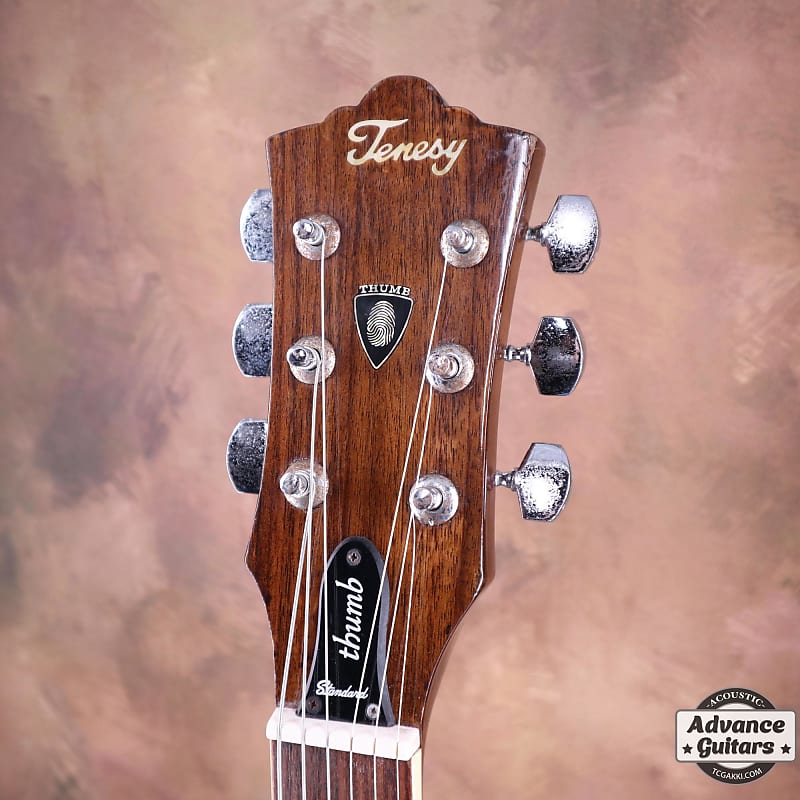 tenesy thumb standard banjo バンジョー 新品弦付き - 楽器・機材