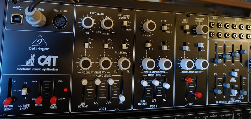 Behringer Cat Duophonic Analog Synthesizer 2020 | Reverb