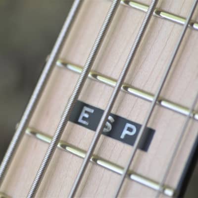 ESP E-II GB-5 String Bass - Black image 9