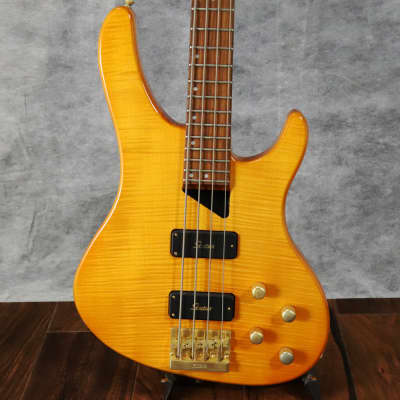 Washburn KIP WINGER SIGNATURE KW-1250ベース WASHBURN KW-1250 Kip Winger Signature Model Active Bass | eBay
