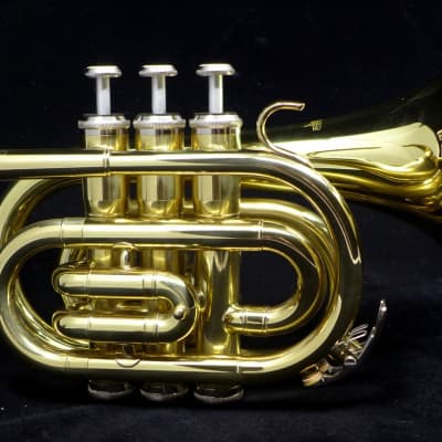ACB Doubler's Large Bell Pocket Trumpet image 5