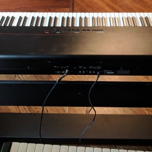 Kurzweil 2025 rg100 price