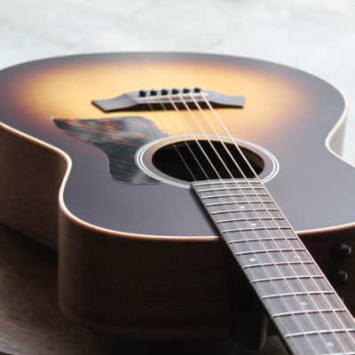 Taylor AD11e-SB, SOFTCASE image 6