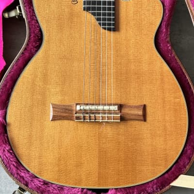 Gibson Chet Atkins Studio CE Nylon Classical No Soundhole Rare for sale