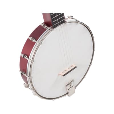 Recording King Dirty 30's Open Back Banjo image 5