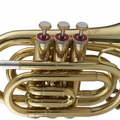 Stagg WS-TR247S Key of Bb, ML-Bore, Brass Body Pocket Trumpet - Red w/ Case