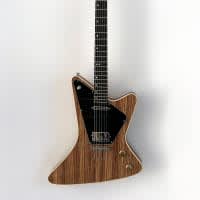 GuitarCo X Mollo 