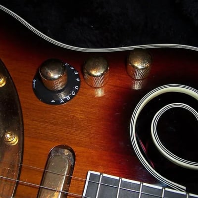 Gold Tone EBM-5 Electric Solid Body Maple Neck Mahogany Top 5-String Banjo w/Hard Case image 6
