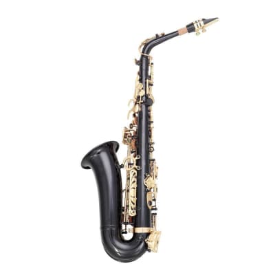 Professional Black Alto Saxophone E-Flat Sax Alto With Case image 1