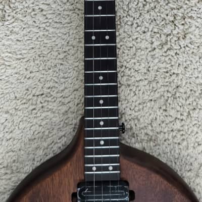 Gold Tone Model EB-5: 5-String Solid Body Electric Banjo with Gig Bag image 7