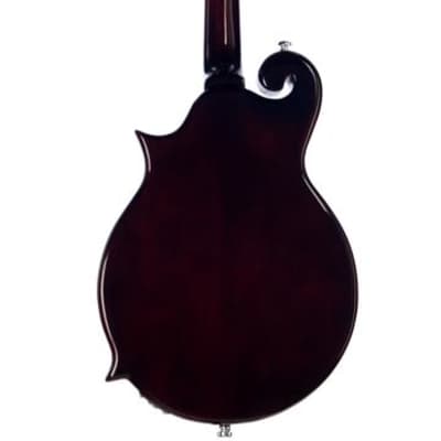 Eastwood MRG Series Tone Chambered Mahogany Maple Top Body Set Maple Neck 8-String Mandolin w/Gig Bag image 2