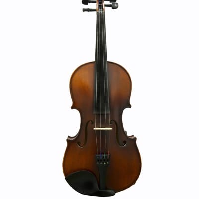 1/2 Size Violin Ensemble With Case, Bow, Rosin VI1211R-NT Matte Finish. image 2
