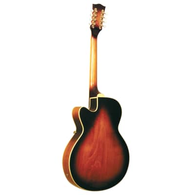 Gold Tone Mandocello Archtop in Sunburst with Case image 2