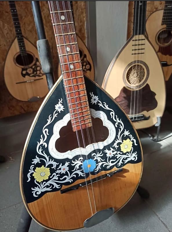 Greek bouzouki with deluxe softcase and 300 backing track 8 Reverb