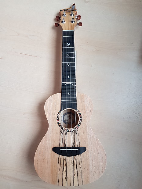 Janny concert ukulele store