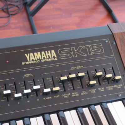 Yamaha SK-15 w/ Hard Case image 2