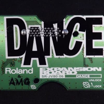 Roland SR-JV80-06 Dance Expansion Board | Reverb